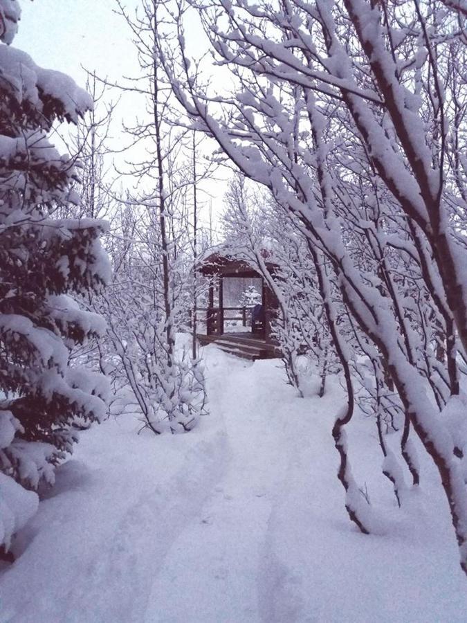 阿克雷里Bakkakot 1 - Cozy Cabins In The Woods别墅 外观 照片